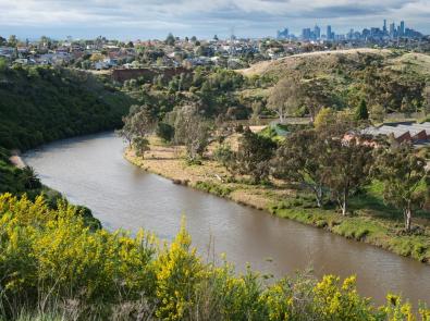 Picture of a waterway with the Melbourne skyline in the background