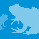 Frog silhouettes illustration