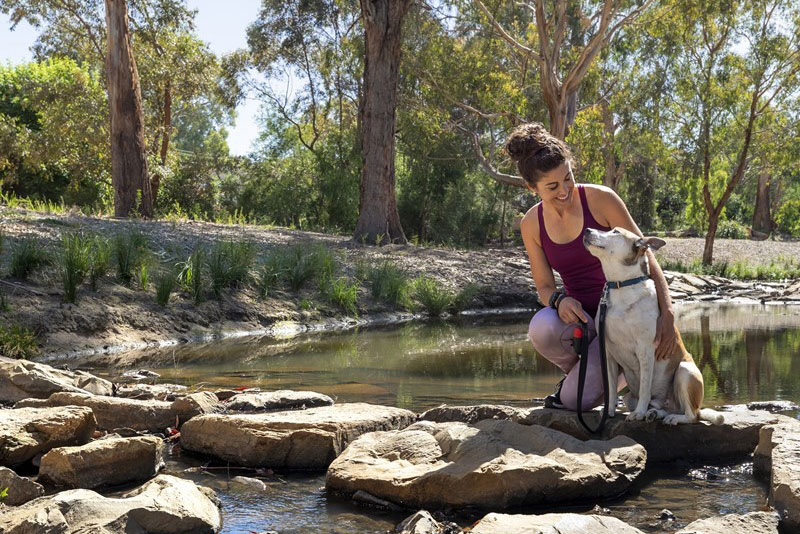 Woman in exercise gear kneels next to her dog on a path across a creek