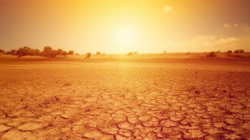 View of cracked, dry earth in scorching heat