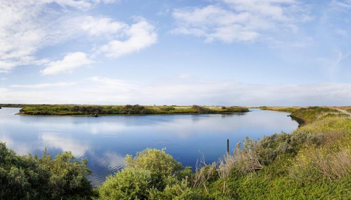 Nature at Western Treatment Plant