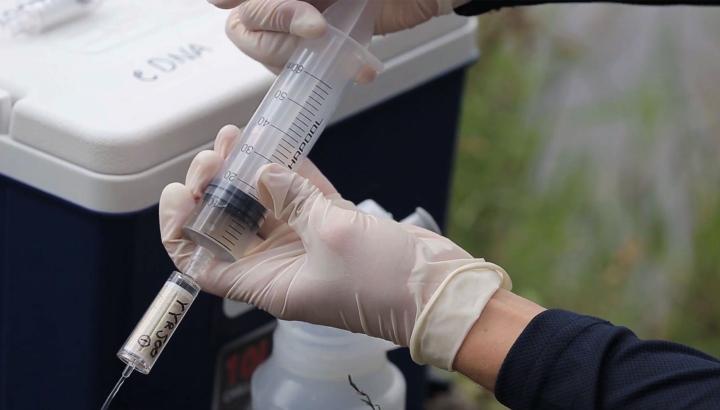 Close up of gloved hands using a syringe to collect water samples from a river.