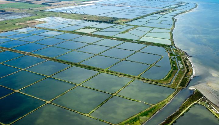 Western Treatment Plant lagoons