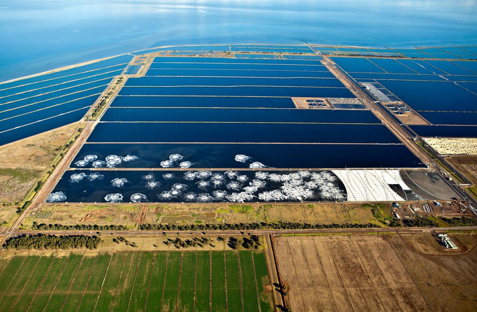 Aerial view of sewage treatment lagoons at the Western Treatment Plant