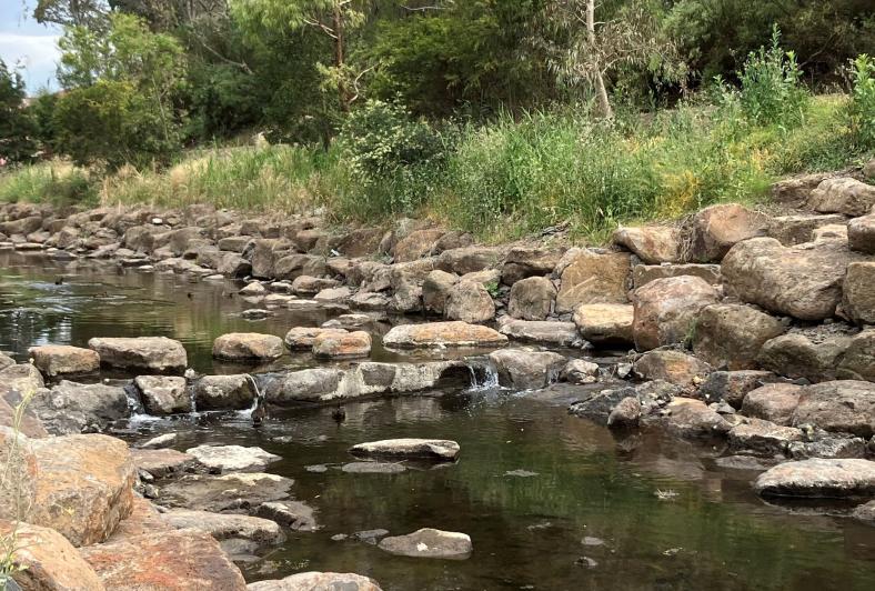 Moonee Ponds Creek with stepping stones