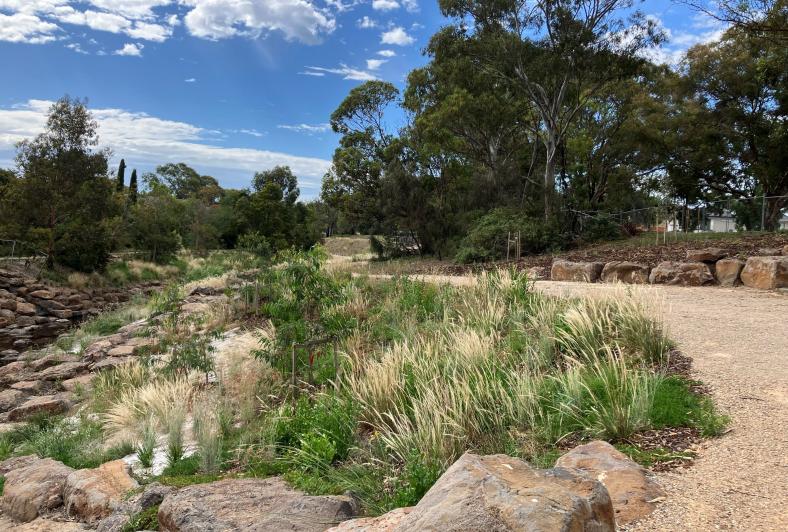 New gravel path and revegetation on the Strathmore side of the creek 