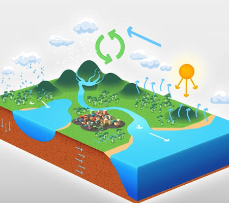 Water cycle illustration showing water movement