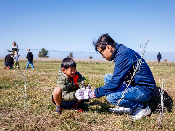 A man and a child planting grass in a field with people in the background