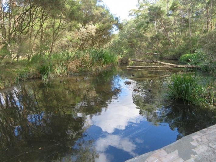 Explore Blackburn Lake & Gardiners Creek by Bus | Melbourne Water