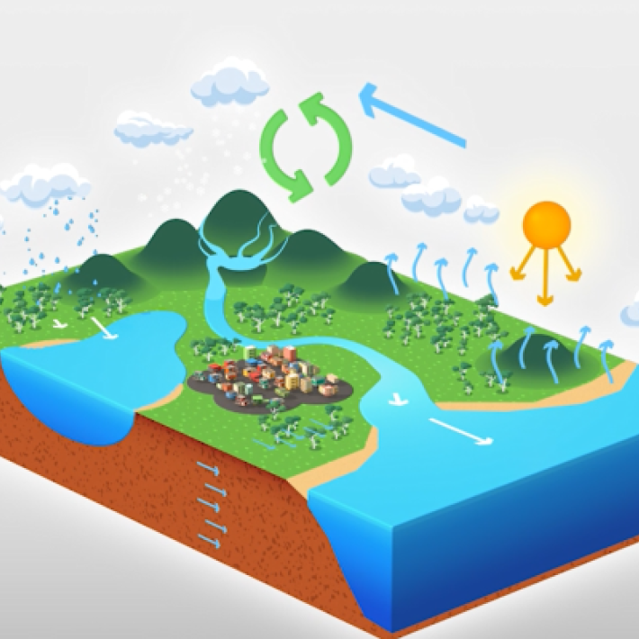 Water cycle illustration showing water movement