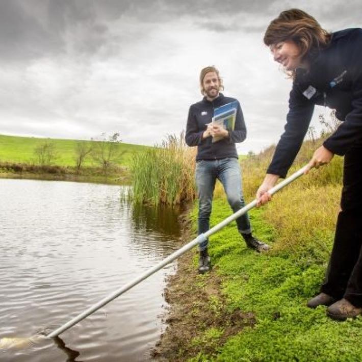 People collecting water with a pole for water quality test