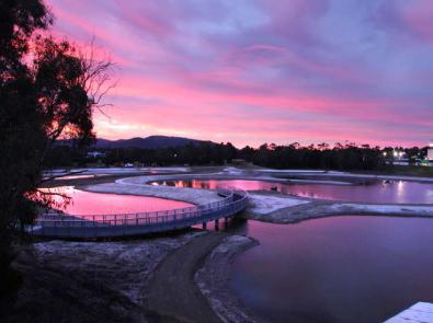 Boardwalk across Blind Creek wetlands at sunrise