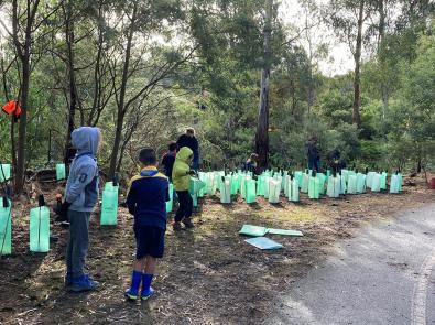 Children stand in front of plant guards