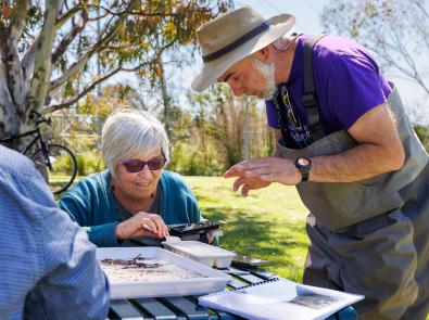 John Gooderham, The Waterbug Company, shows a woman how to identify waterbugs in a plastic container.