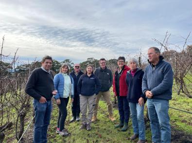 A group of people stand in a vineyard with rows of grape vines in the background