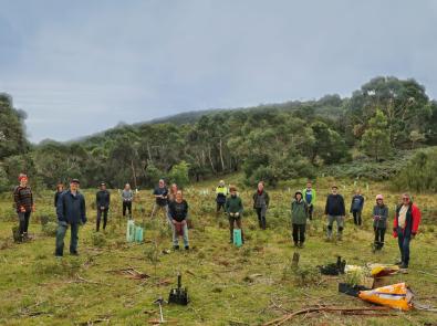 Landcare group tree planting at Arthurs seat.