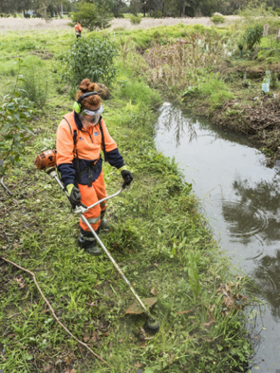 Grass cutter working alongside a waterway with safety equipment