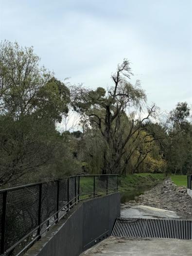 Huntingdale project trimming vegetation