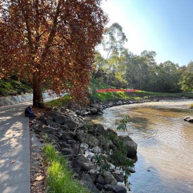 Image of the Yarra Main Trail path 