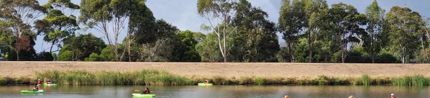 Paddle for Patterson