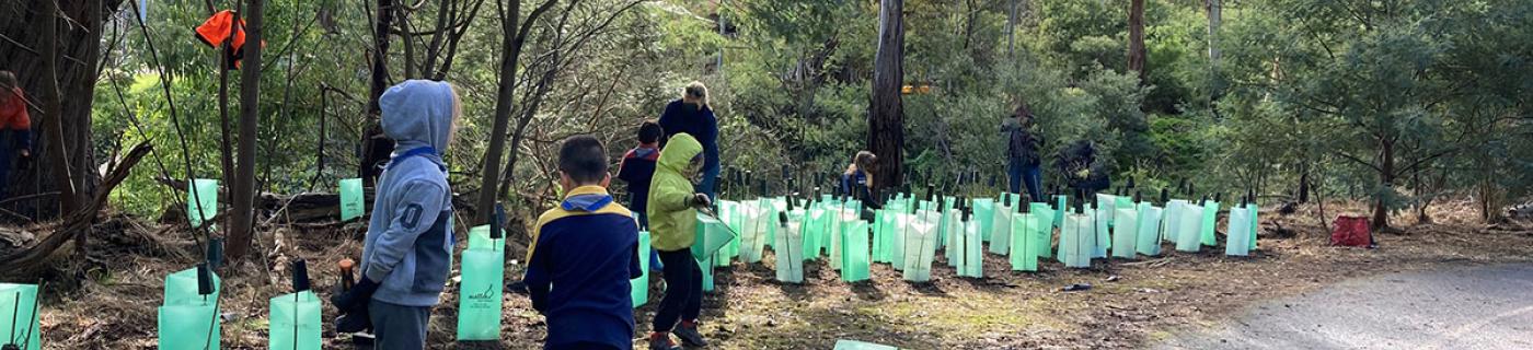 Children stand in front of plant guards