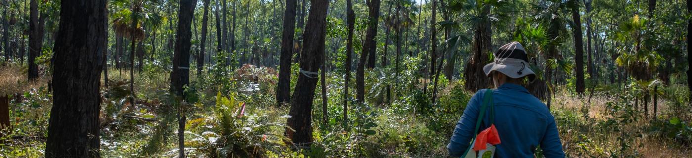 A person wearing a hat and blue shirt walks through the bush holding water testing equipment