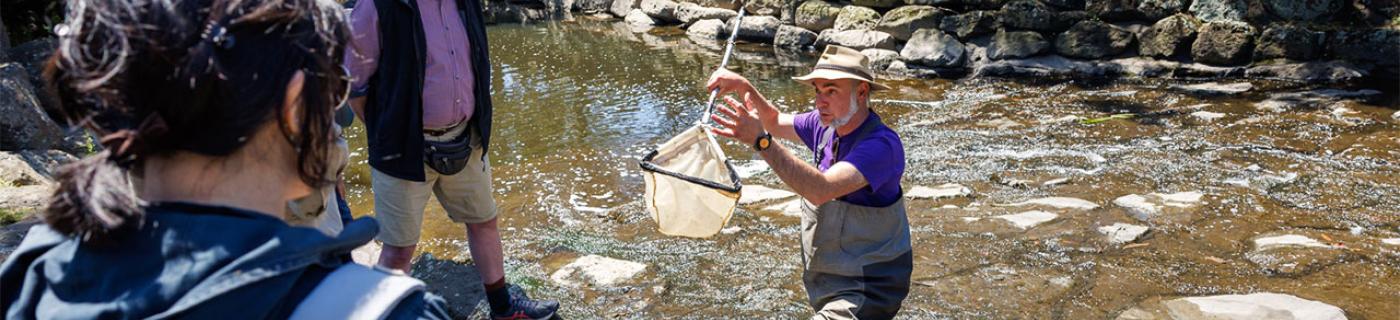 John Gooderham, The Waterbug Company, takes a sample of waterbugs from a stream