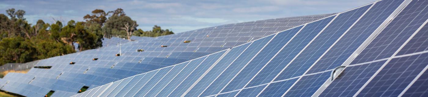 Rows of solar panels on a grassy hill at Winneke Water Treatment Plant, with a blue sky in the background