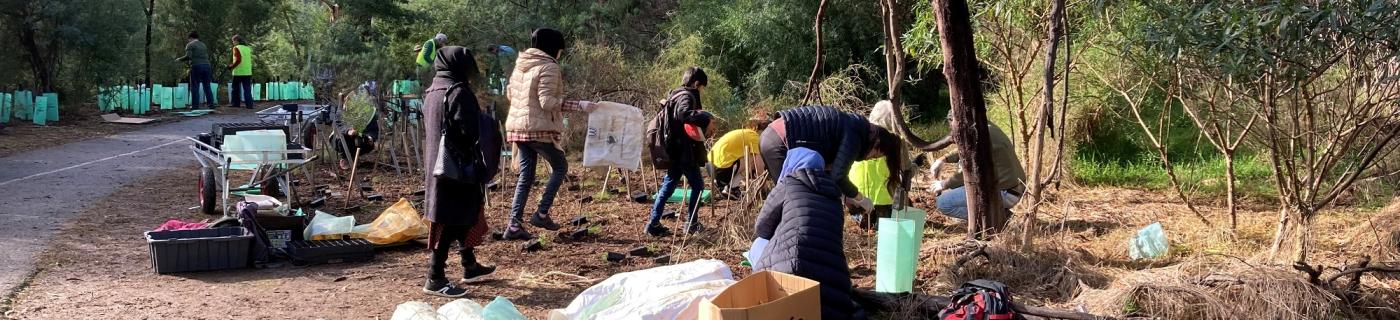 Volunteers working at a community planting day in Eltham.