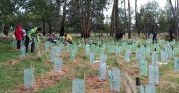 Community members weeding and tree planting