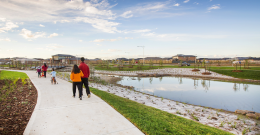 A group of people walk along a path next to wetlands, with houses in the background.