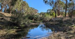 Deep Creek after watering