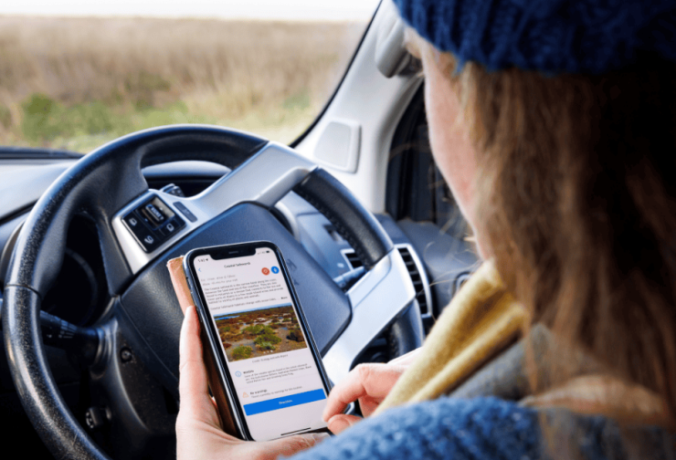 Person looking at their phone screen while pulled over in their car