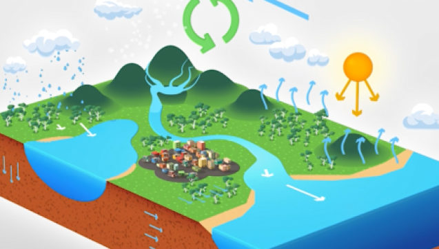 Water cycle illustration showing water movement