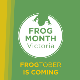 Frog Month Victoria: Frogtober is coming