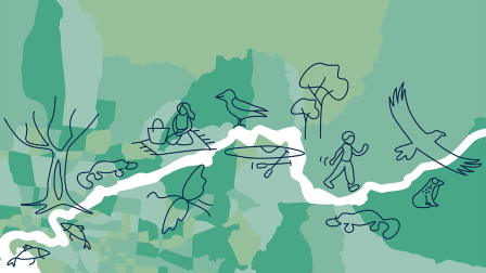 Map of the Yarra River, overlaid with illustrations of plants, wildlife and people